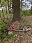 Foto: Bauschutt unter Ästen versteckt 