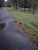 Foto: Tiefes Loch im Radweg 