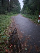 Foto: Radweg sehr rutschig 