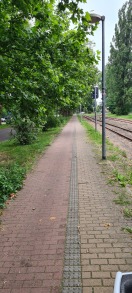 Foto: Lichtraumprofil Radweg und Gehwegsbereich zugewachsen  