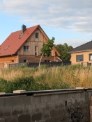 Foto: Straßenbaum in Schieflage  