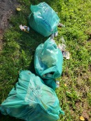 Foto: Illegale Müllentsorgung 