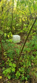 Foto: Kiste im Unterholz 