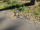 Foto: Strasse kaputt 