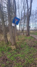 Foto: Sackgassen-Schild an Baum gelehnt 