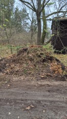 Foto: Friedhof Ragow  