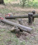 Foto: Trimmen dich Pfad 