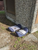 Foto: Kindersitz illegal entsorgt 