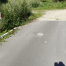Foto: Sperrpoller wurde umgefahren 