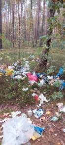 Foto: Wilde Deponie Hausmüll 