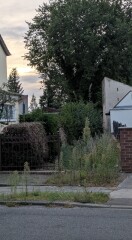 Foto: öffentlicher Raum, ungepflegter Gehweg 