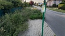 Foto: Bushaltestelle nicht erreichbar durch Gestrüpp  
