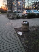 Foto: Windel vor Papierkorb an Gehweg 