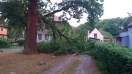 Foto: Zustand Eiche 1 