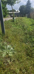 Foto: Mäharbeiten Sickermulde. 