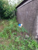 Foto: Bauschutt Ablagerung  