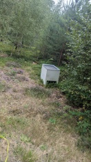 Foto: Müllentsorgung im Wald  