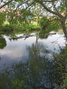 Foto: Bäume in der Berste 