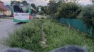 Foto: Bushaltestelle erneut zugewachsen  