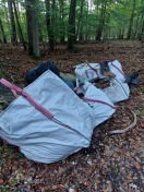 Foto: Müll im Wald  