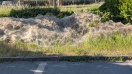 Foto: Extreme Spinnenweben - schlimm? 