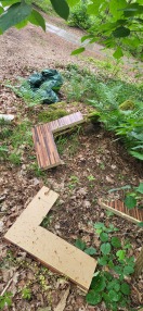 Foto: Müll entsorgt  