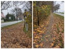 Foto: Bürgersteig/Radweg am Ortseingang Lichtenow zugewuchert und voller Laub 