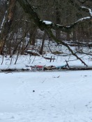 Foto: E-Roller + Einkaufswagen in Gewässer  