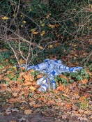 Foto: Spirituosen Flaschen aus Glas  