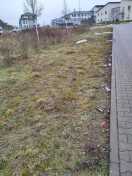 Foto: Überreste Silvesterfeuerwerk 