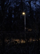 Foto: Blendende Laterne 
