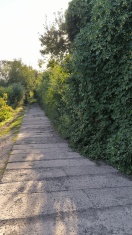 Foto: Plattenweg nicht Mal vom Traktor befahrbar.  