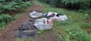 Foto: Illegale Entsorgung Dachpappe im Wald zwischen Birkenwerder und Bergfelde  