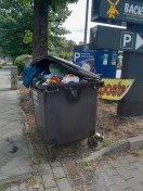 Foto: volle ALBA-Mülltonne am Fußweg 