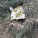 Foto: Neue Müllhalde 