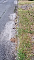 Foto: Wenn das die Aufgabe der Straßenkehrmaschine ist...  