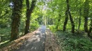 Foto: Radweg B2 Abzweig Straße nach Sacrow 