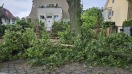 Foto: Astbruch 