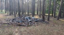 Foto: Wilde Deponie  