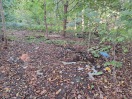 Treuenbrietzen: Müll und Gartenabfälle  Foto: Müll und Gartenabfälle