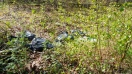 Foto: Mülltüten neben Wanderweg 