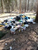 Foto: Illegale Entsorgung im Wald 