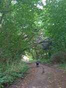 Foto: Baum 