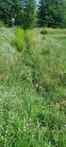 Foto: Wassergraben 