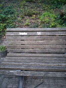 Foto: Hakenkreuz im Bürgergarten  
