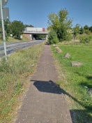 Foto: Radweg zugewachsen 