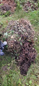 Foto: Kompostentsorgung 