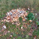 Foto: Illegale Müllentsorgung 