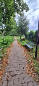 Foto: Zugewachsene Gehwege 