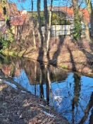 Foto: Einkaufswagen im Kahnegraben 